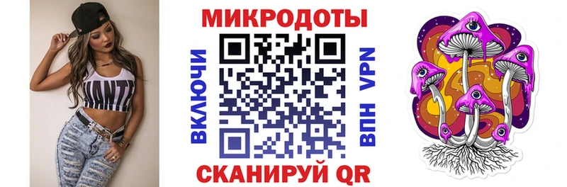 Галлюциногенные грибы Psilocybe  Кировград 