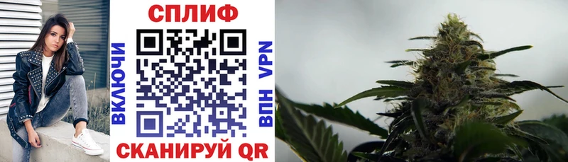 Конопля планчик  закладки  Кировград 